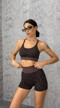 Set Sculpt Leo - 2 colori - 5