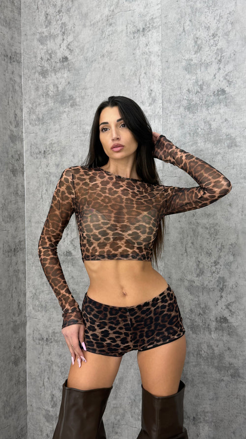 Set Ghepard